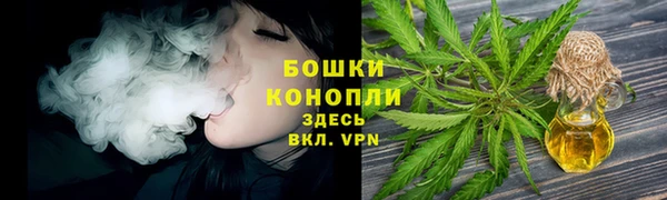 бутират Белокуриха